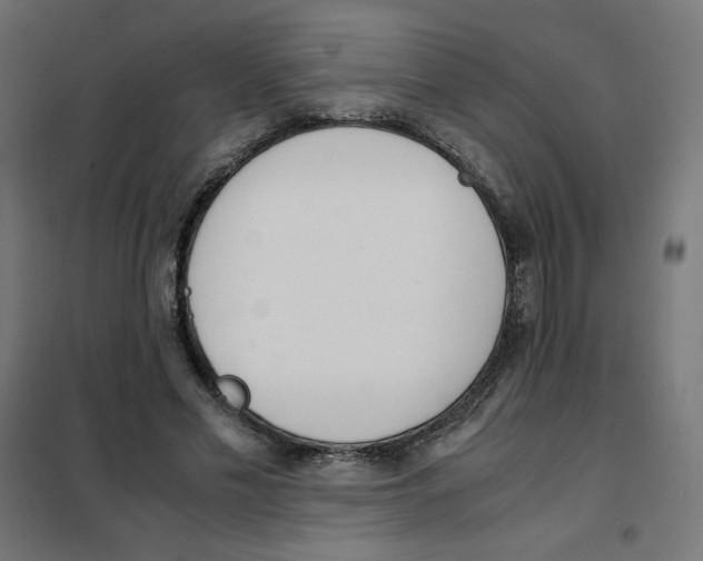 X0000101660589200808071023