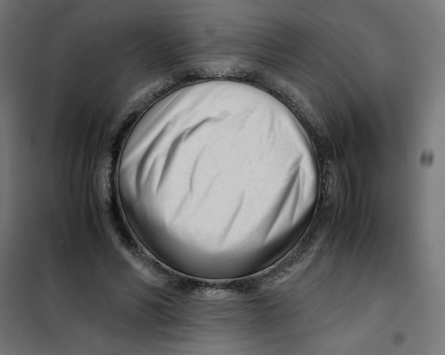 X0000101660590200808071023