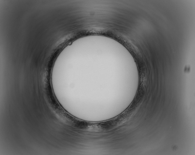 X0000101660591200808071023