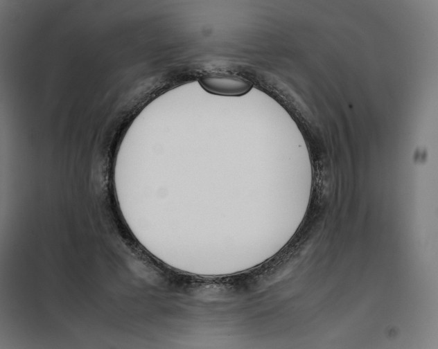 X0000101660593200808071023