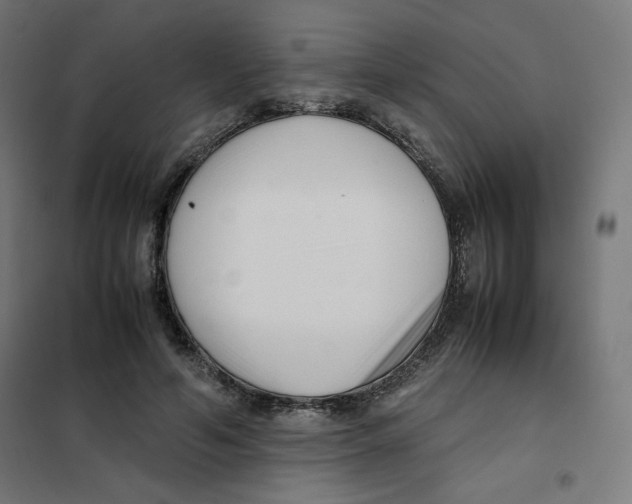 X0000101660594200808071023