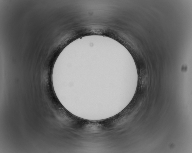 X0000101660595200808071023