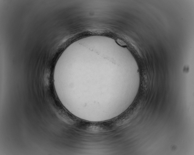 X0000101660596200808071023