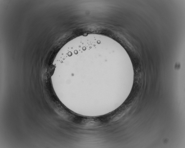 X0000101660597200808071023