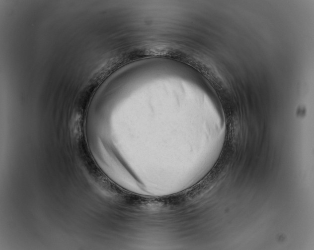 X0000101660598200808071023