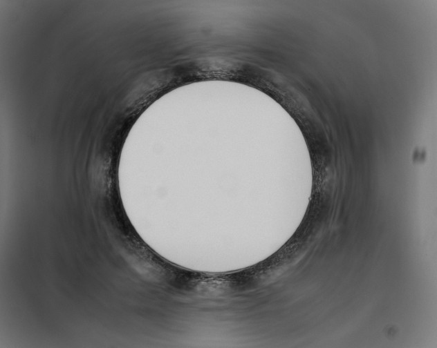 X0000101660599200808071023
