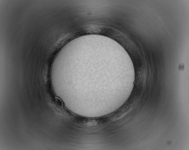 X0000101660600200808071023
