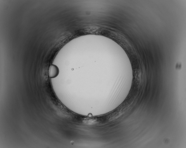X0000101660602200808071023