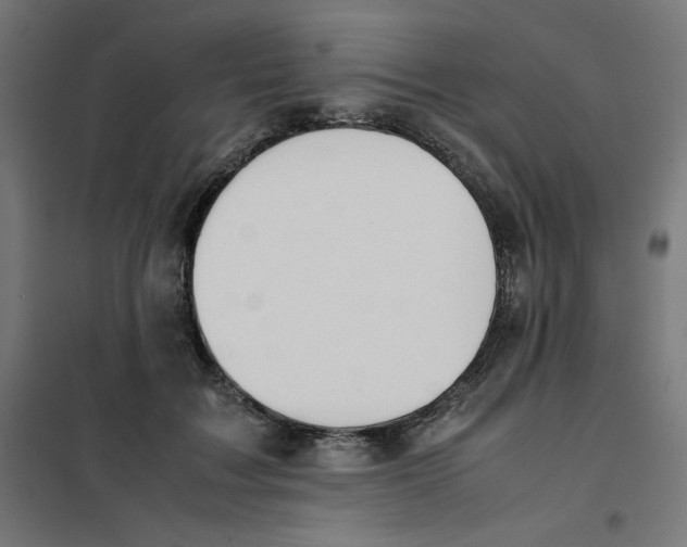 X0000101660603200808071023
