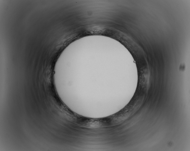 X0000101660604200808071023