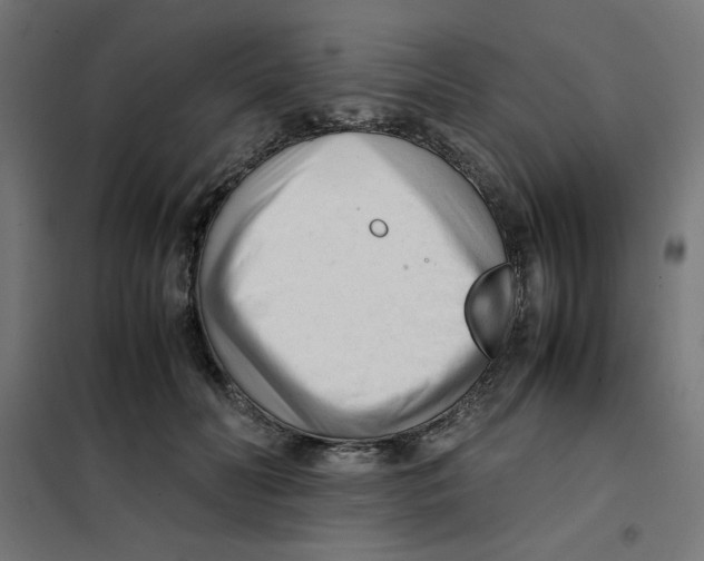 X0000101660606200808071023