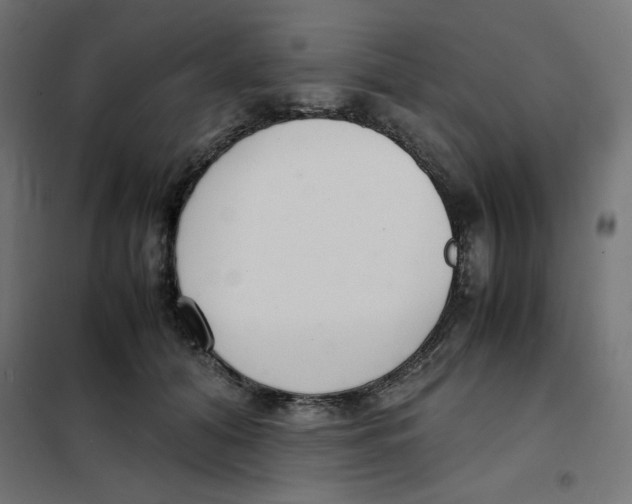 X0000101660608200808071022