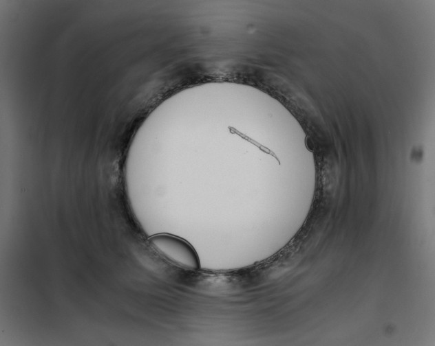 X0000101660611200808071022