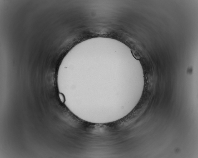 X0000101660612200808071022