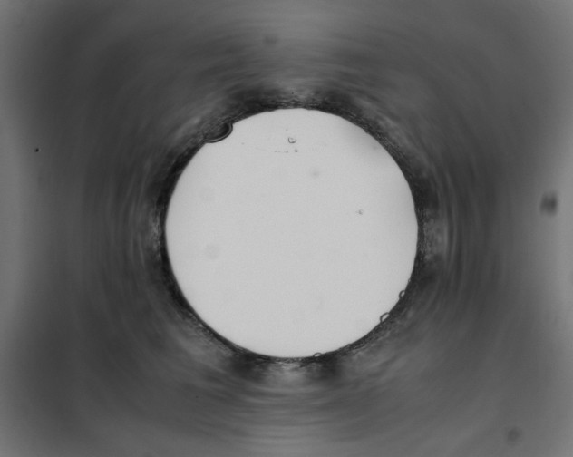 X0000101660613200808071022