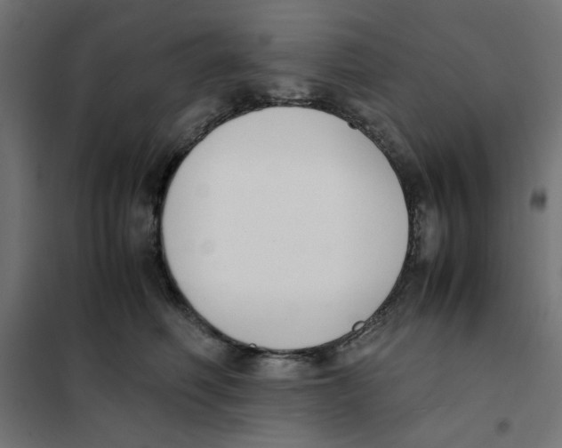 X0000101660614200808071022
