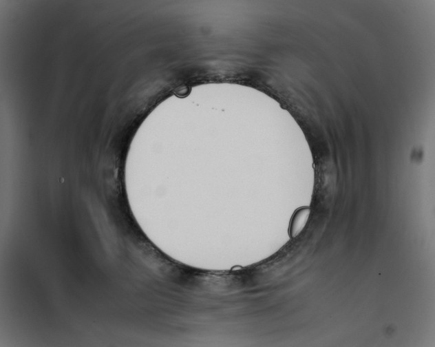 X0000101660615200808071022