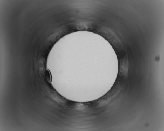 X0000101660616200808071022