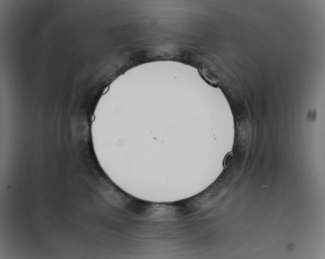 X0000101660617200808071022