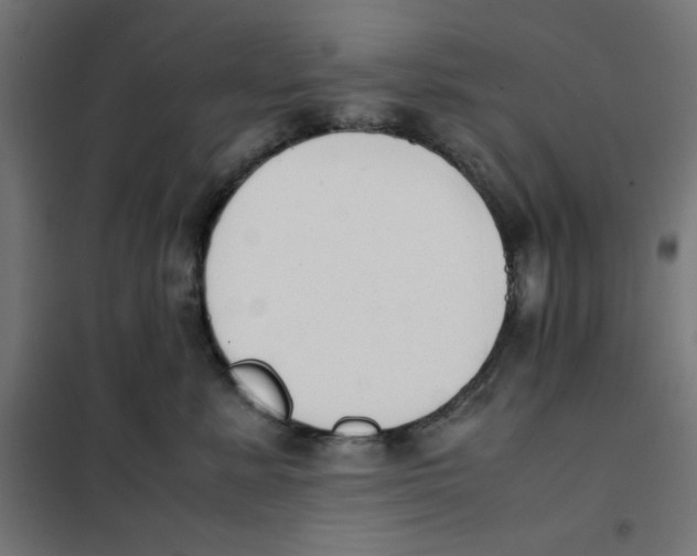X0000101660619200808071022