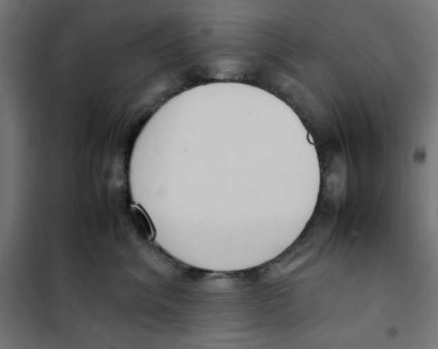 X0000101660620200808071022