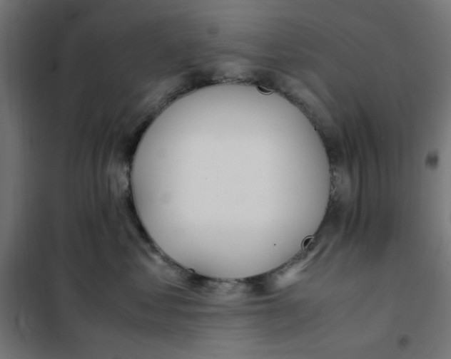 X0000101660621200808071022