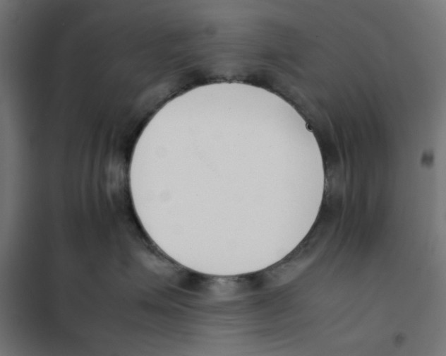 X0000101660623200808071022