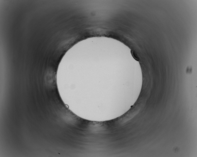 X0000101660624200808071022