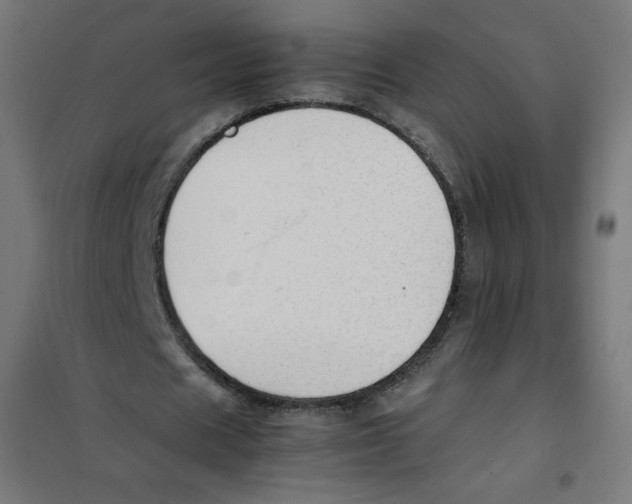 X0000101660625200808071022