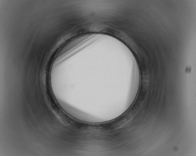 X0000101660626200808071022