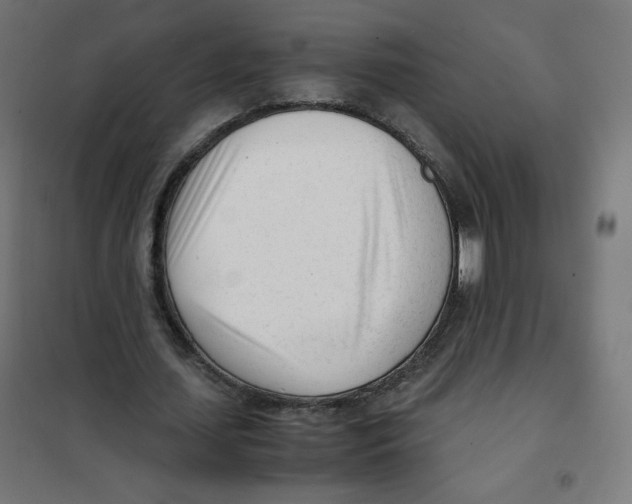 X0000101660627200808071022