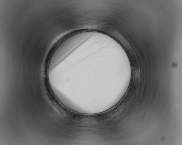 X0000101660628200808071022