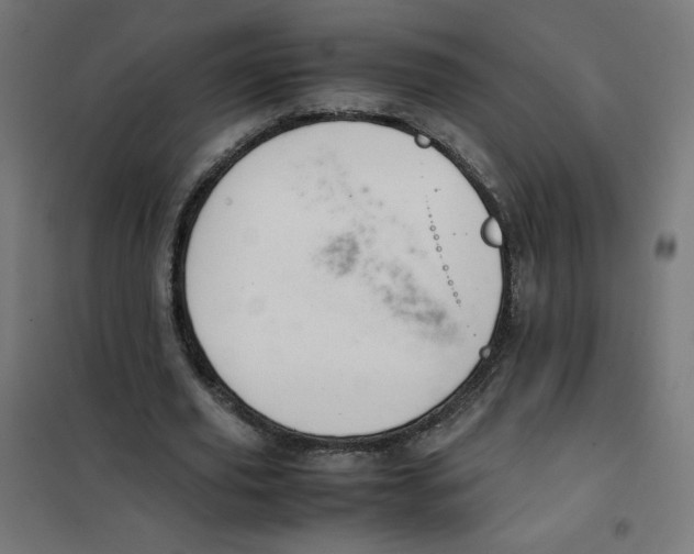 X0000101660629200808071022