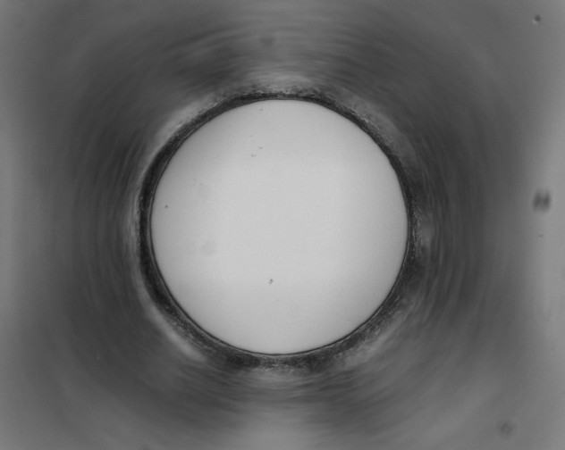 X0000101660630200808071022