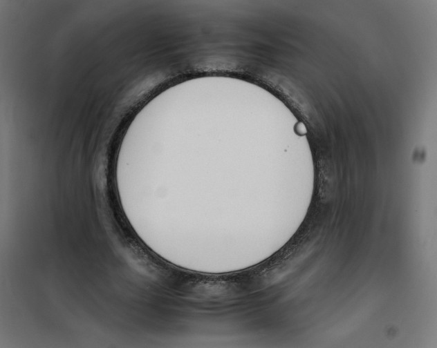 X0000101660631200808071022