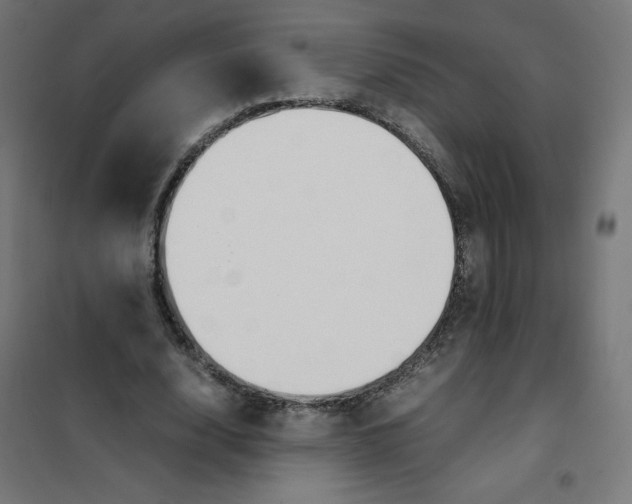 X0000101660632200808071022