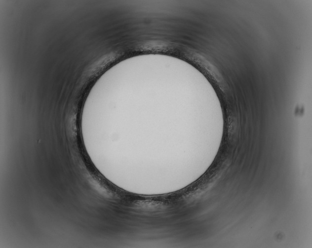 X0000101660633200808071022
