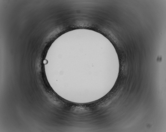 X0000101660635200808071022