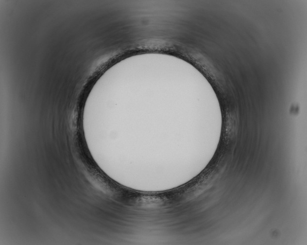 X0000101660636200808071022