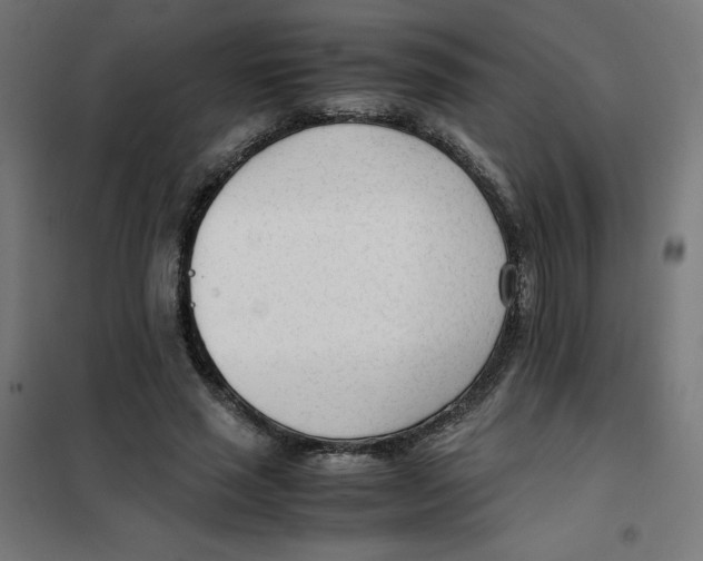 X0000101660637200808071022