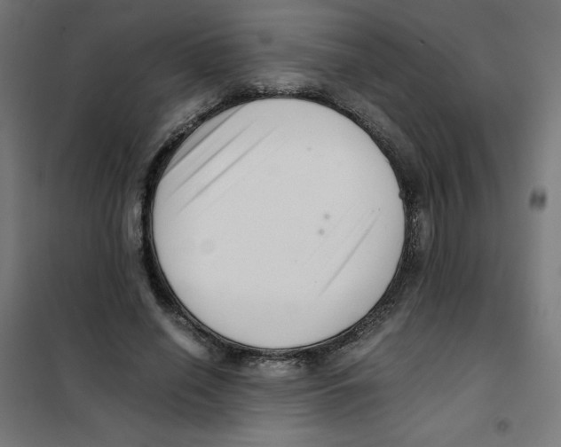 X0000101660638200808071022