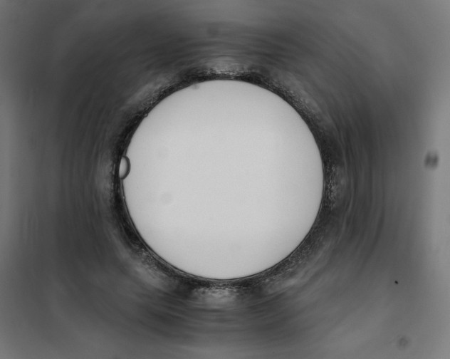 X0000101660639200808071022