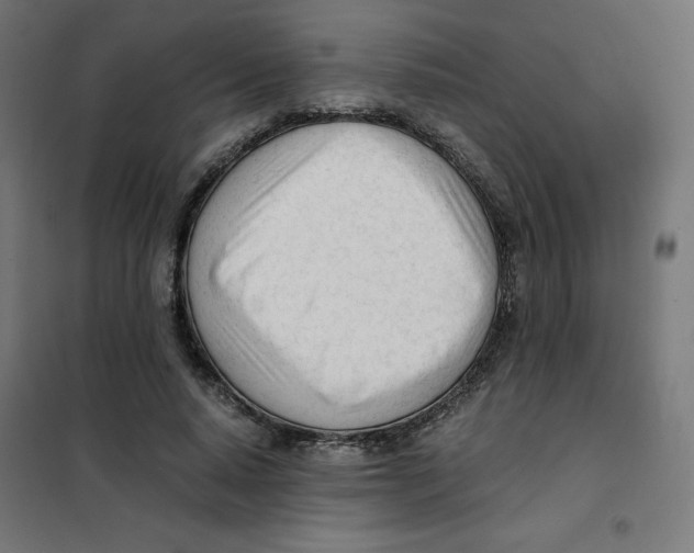 X0000101660640200808071022