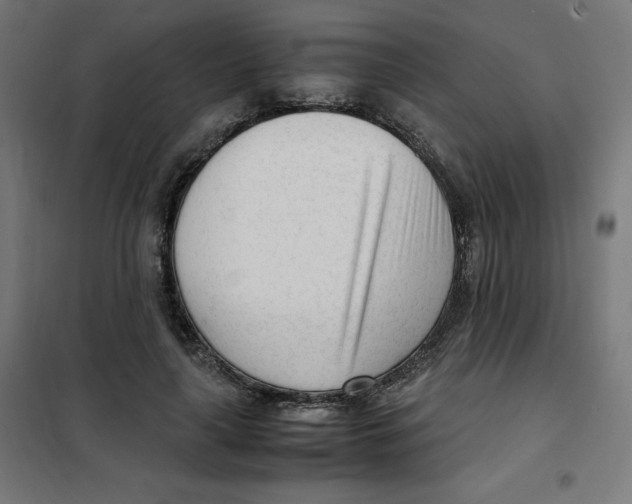 X0000101660643200808071022