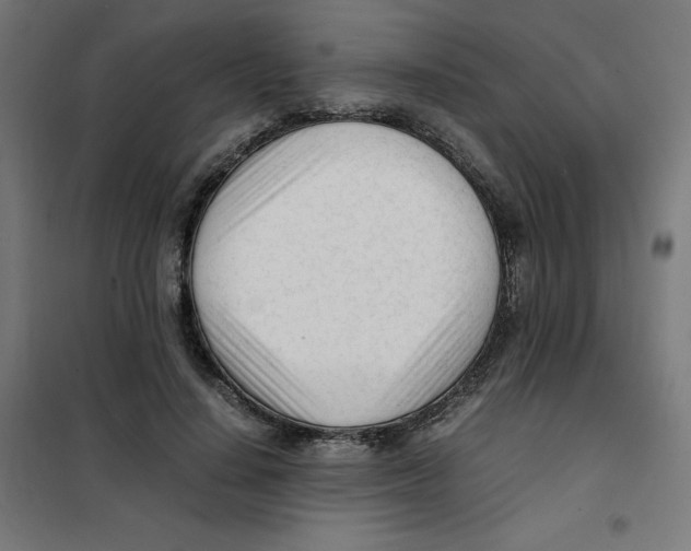 X0000101660644200808071022