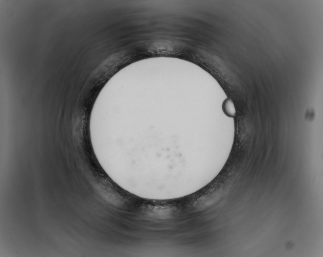 X0000101660645200808071022