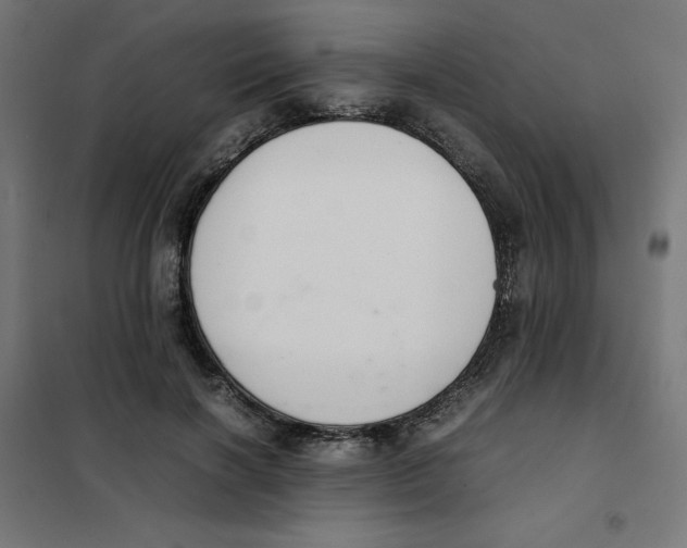 X0000101660646200808071022