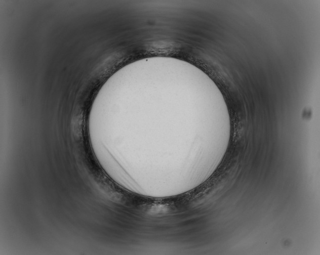 X0000101660647200808071022