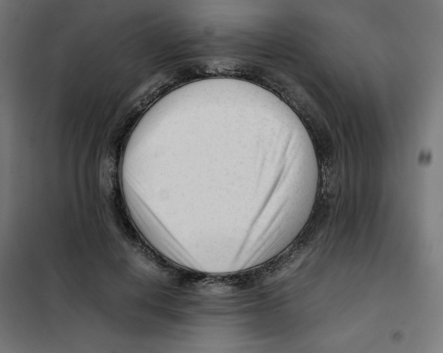 X0000101660648200808071022