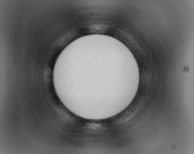 X0000101660649200808071022